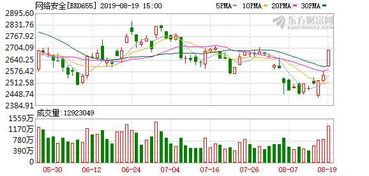 網絡安全威脅持續上升推動IT安全服務與軟件開發發展空間擴大